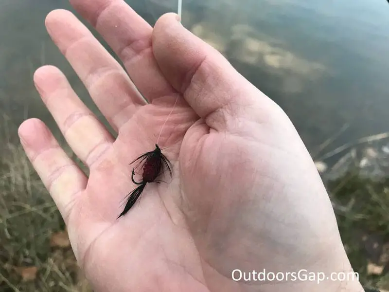 Fly fishing tadpole pattern
