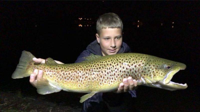 Brown trout caught on bait.