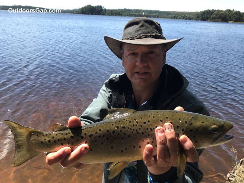 Brown trout lure fishing. Caught on a Tassie Devil lure.
