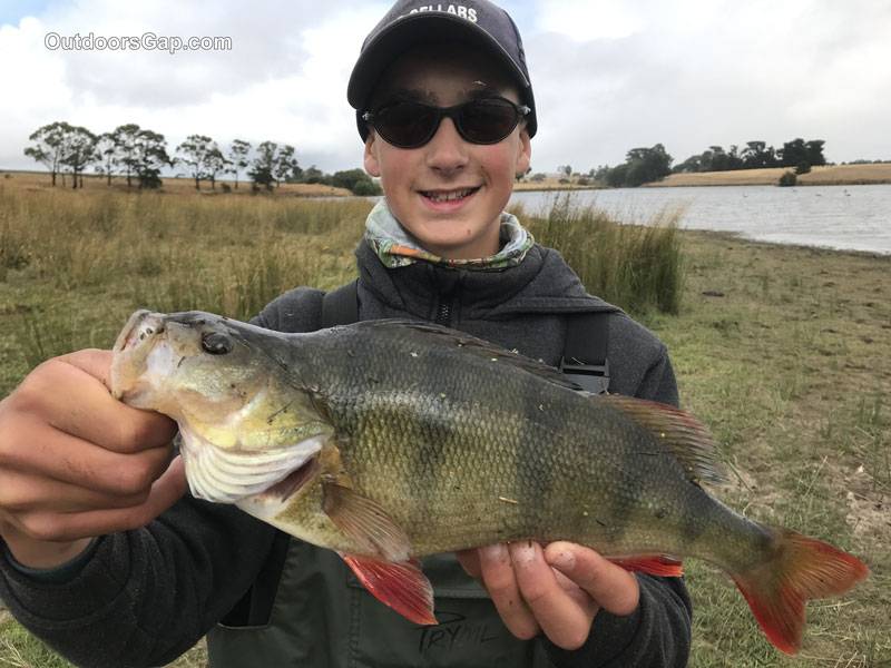 Fishing for redfin perch on lure