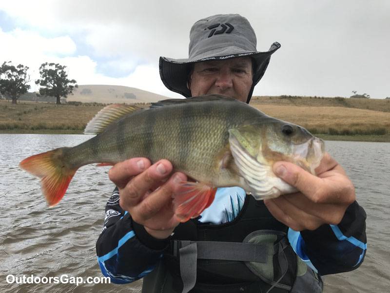 Fishing for Redfin Perch