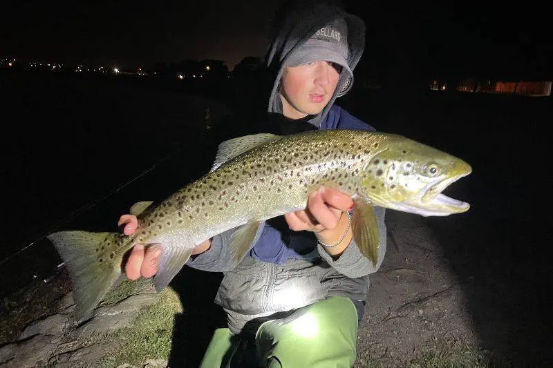 71 cm brown trout caught at Lake Wendouree