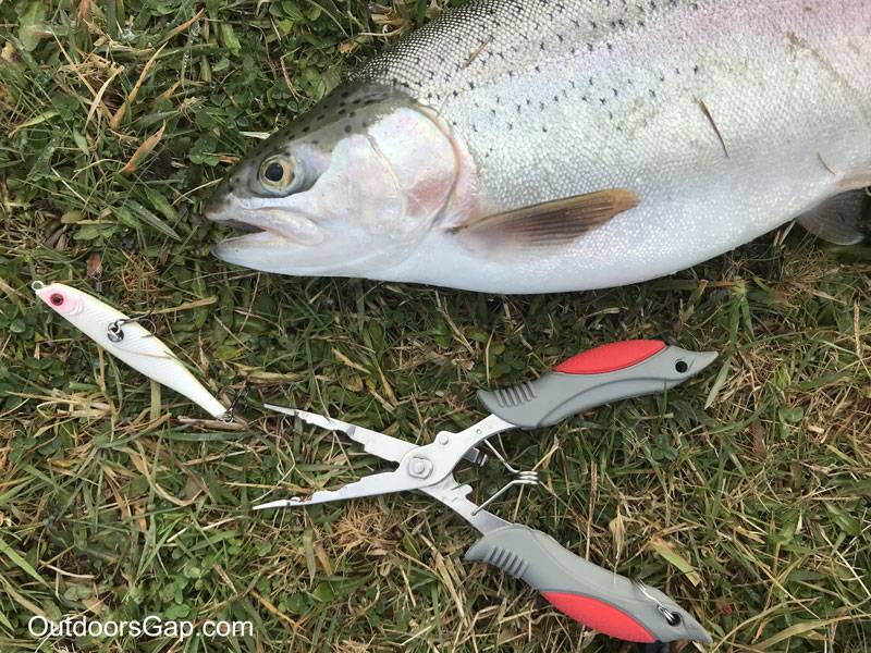 Fishing pliers used to unhook bent minnow lure on trout