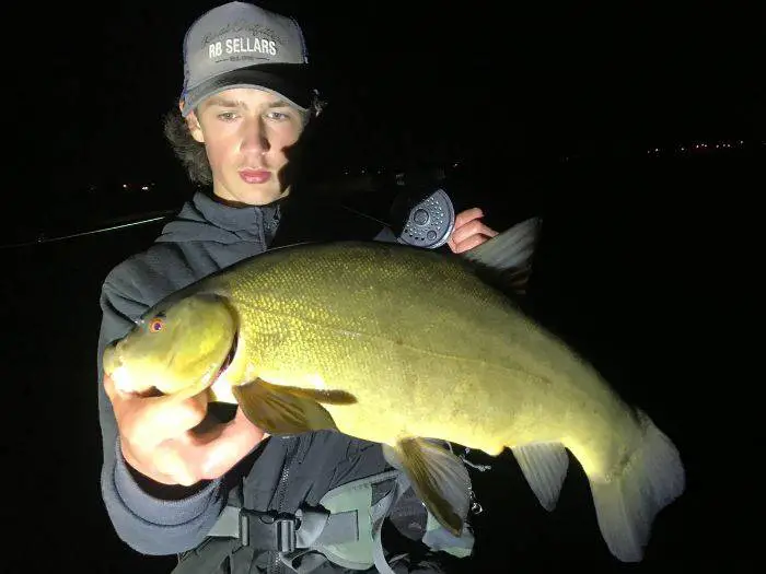 Tench caught fly fishing