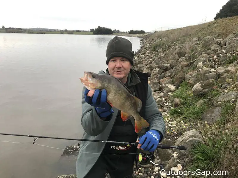 Fishing for Redfin Perch on soft plastics.