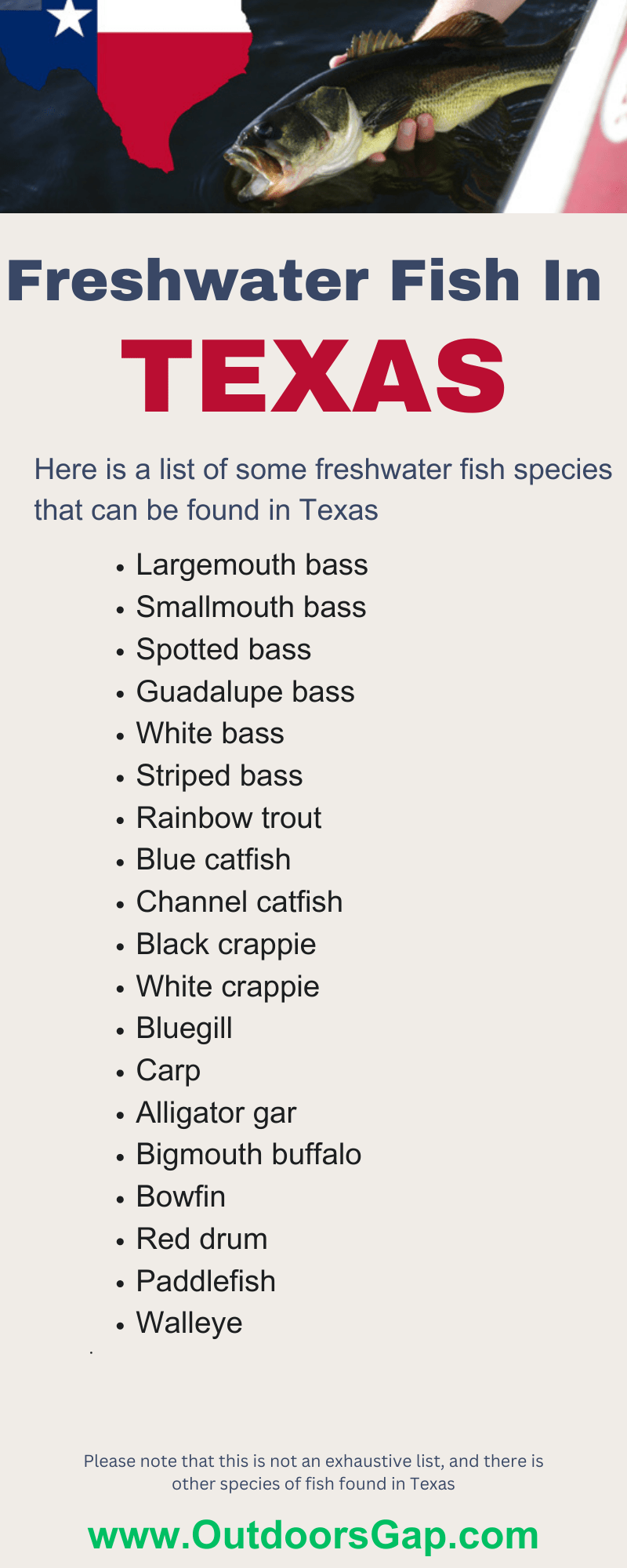 Freshwater fish found in Texas.