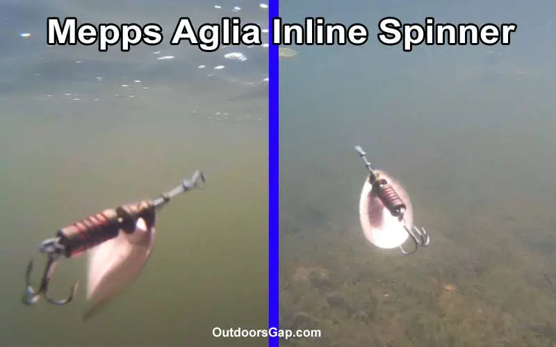 Mepps Aglia Inline spinner underwater
