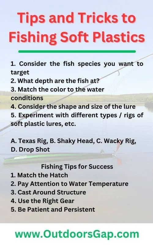 Infographic. Tips fishing with soft plastics.