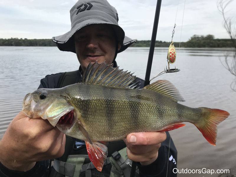 Mepps Inline fishing spinners with Redfin Perch