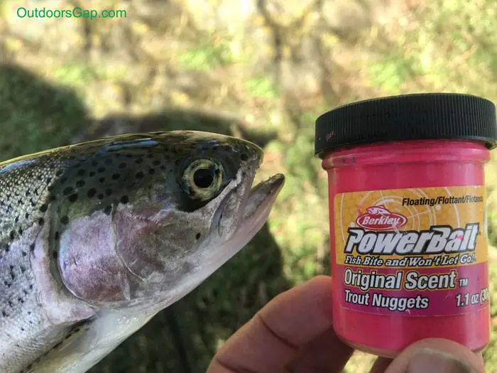 How To Fish For Trout With PowerBait
