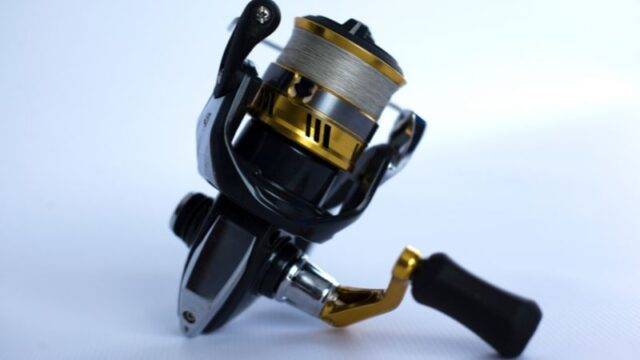 How to choose a spinning reel