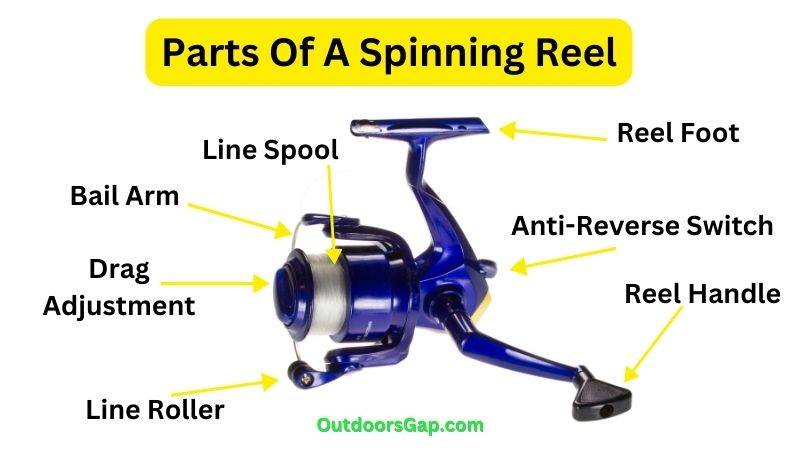 Parts of a fishing spinning reel