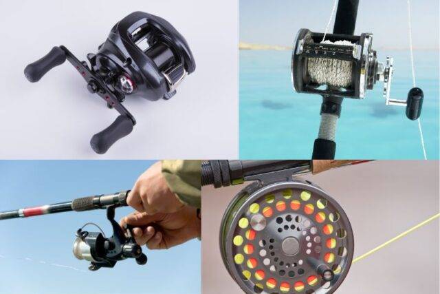 What are the types of fishing reels.