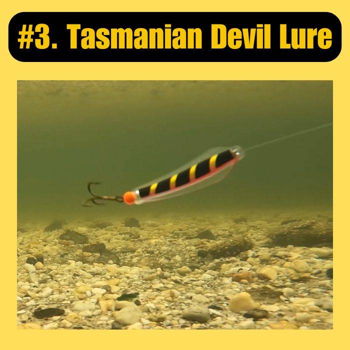 Tasmanian Devil Lure