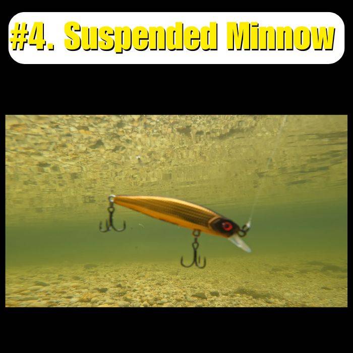 Suspended Minnow Lure