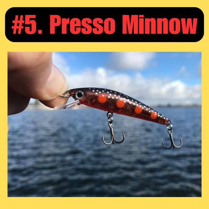 Presso Minnow Lure