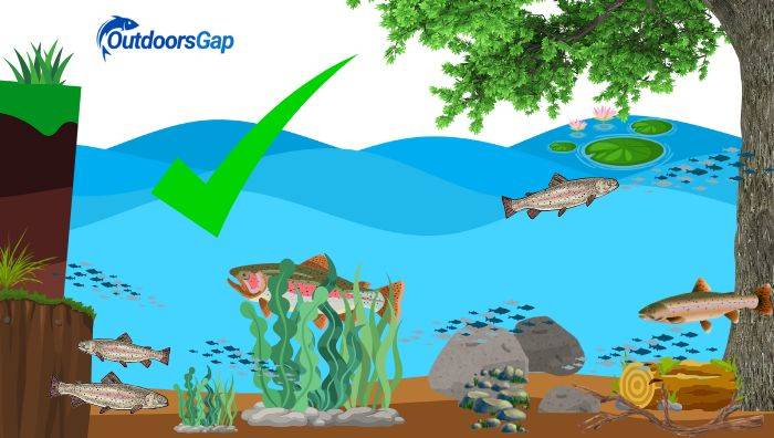 Where to fish - around cover